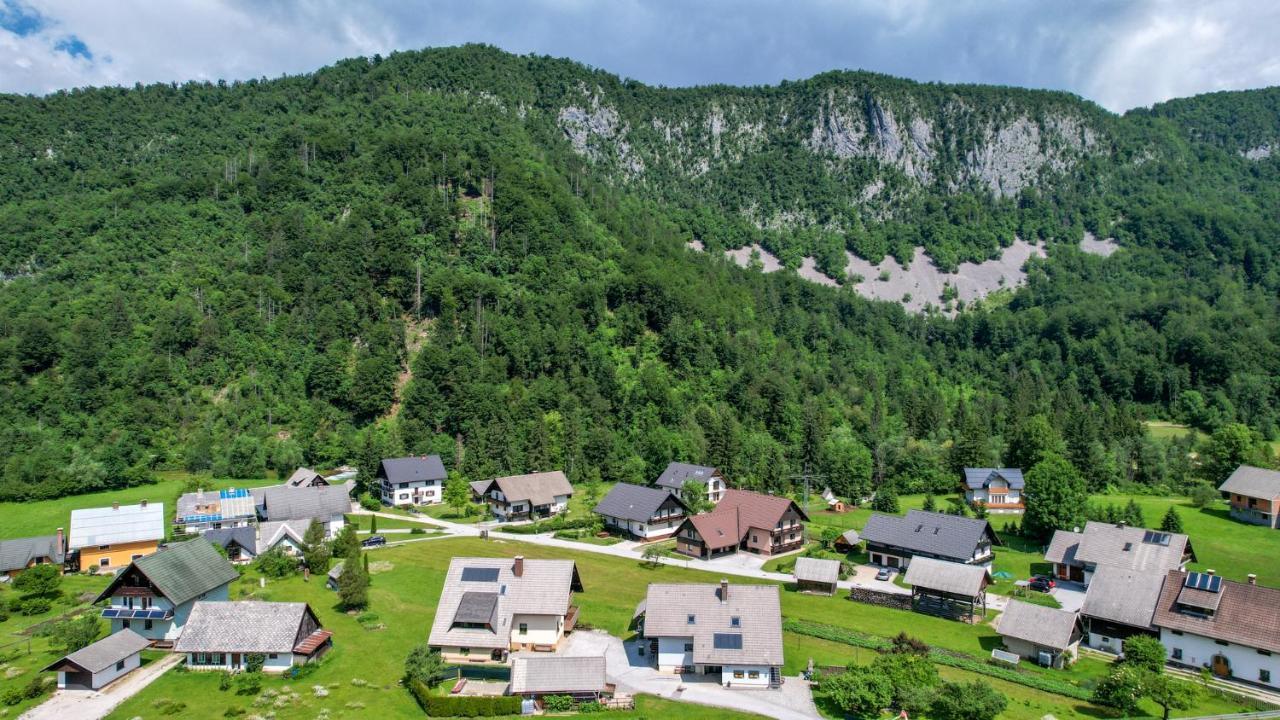 Apartments Darinka Mencinger 博希尼 外观 照片